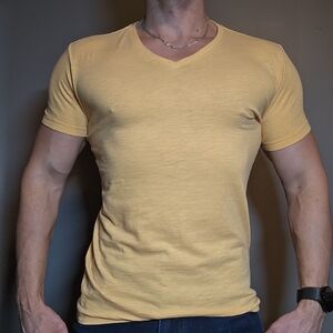 American Eagle Outfitters Light Brown Tee